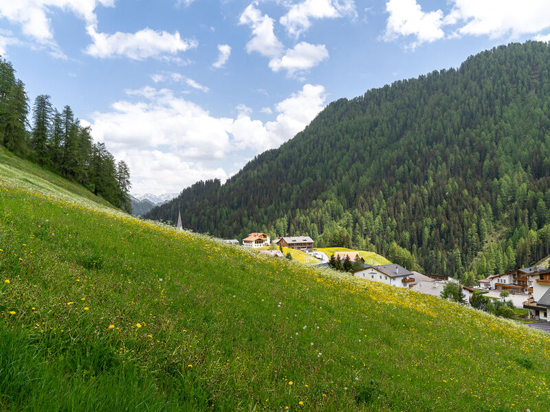 Das Felaria, (Samnaun-Laret)