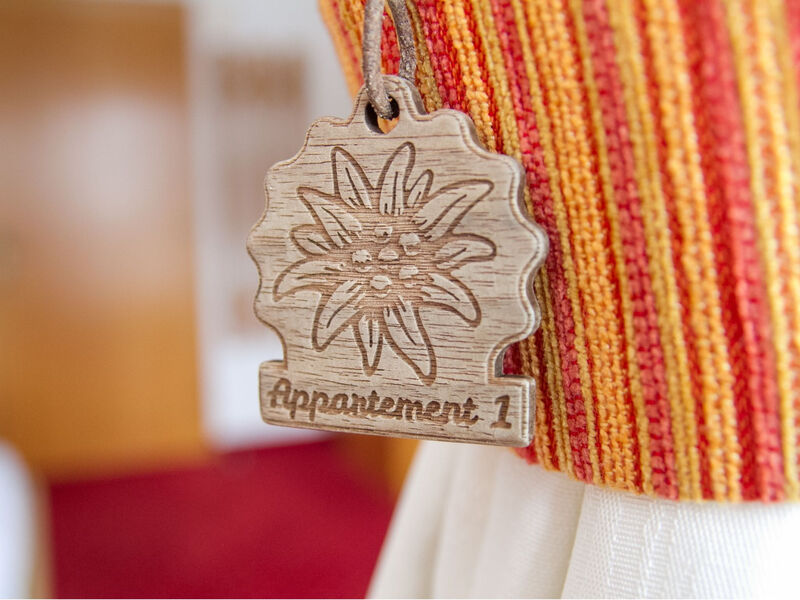 Apartmán Prieth Samnaun, (Samnaun-Ravaisch)