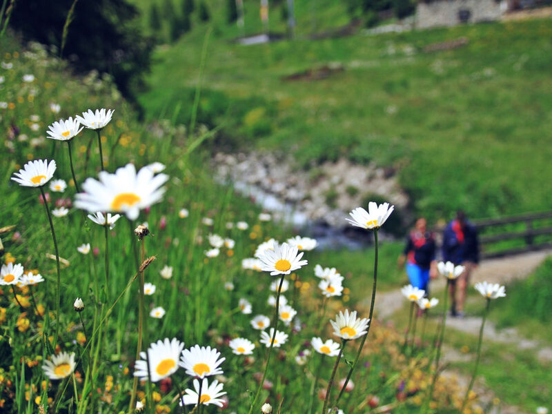 Apartmán Prieth Samnaun, (Samnaun-Ravaisch)
