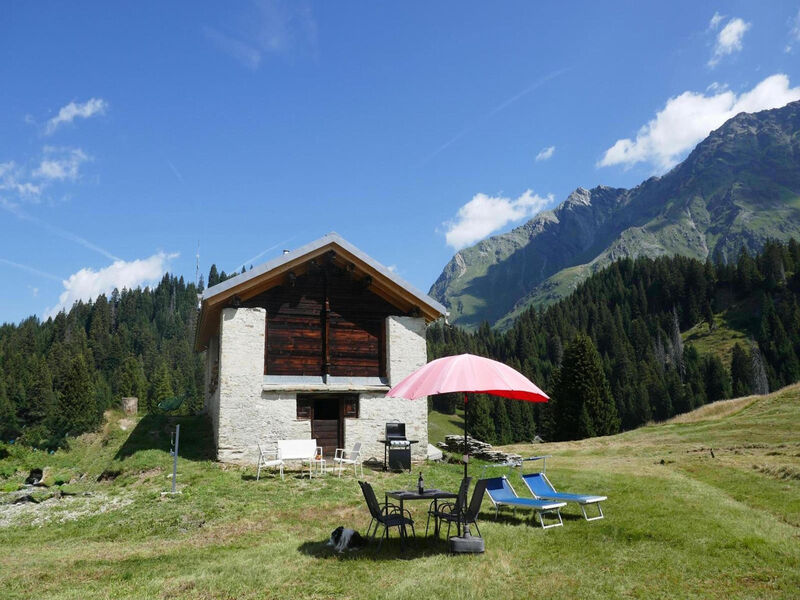Nido delle Alpi