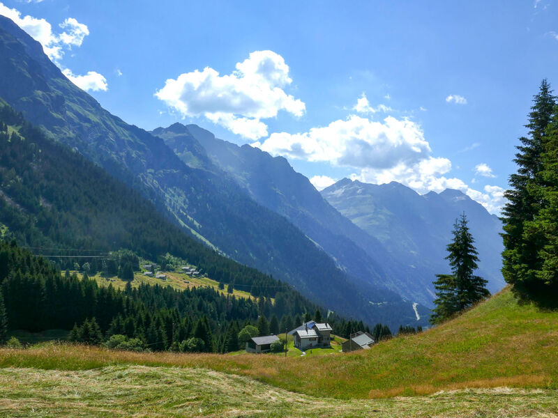 Nido delle Alpi