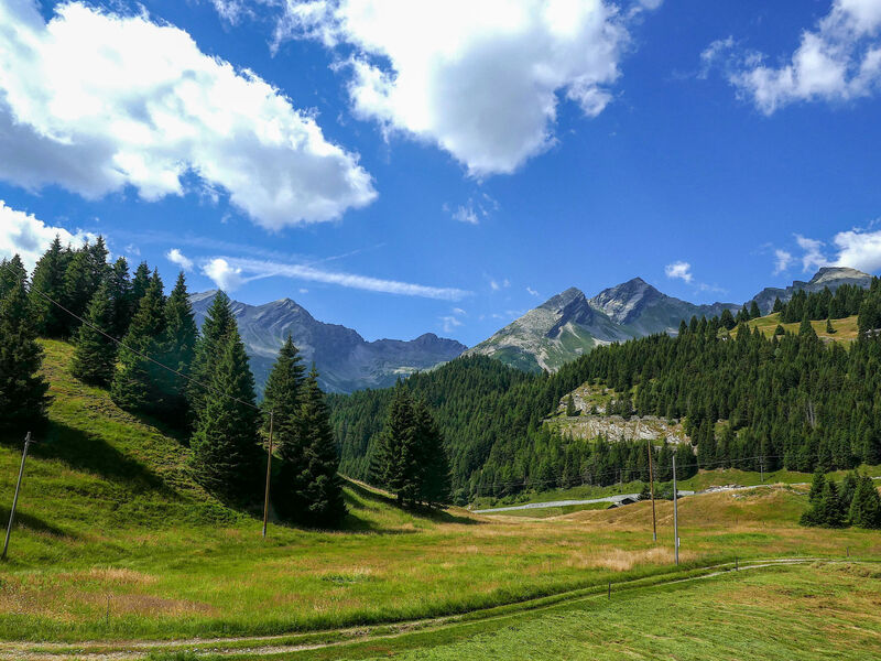 Nido delle Alpi