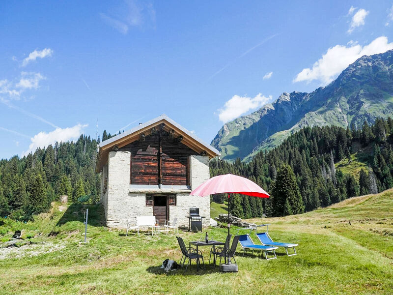 Nido delle Alpi
