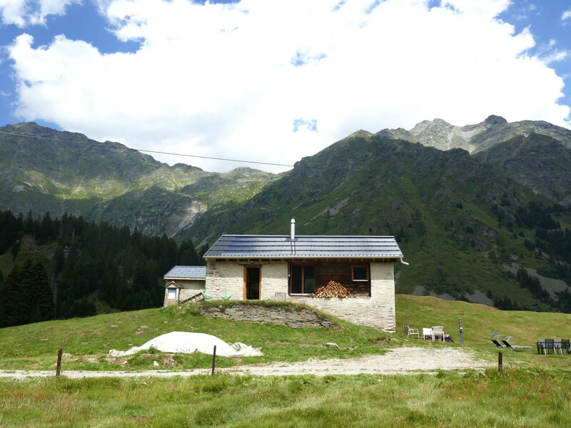 Nido delle Alpi