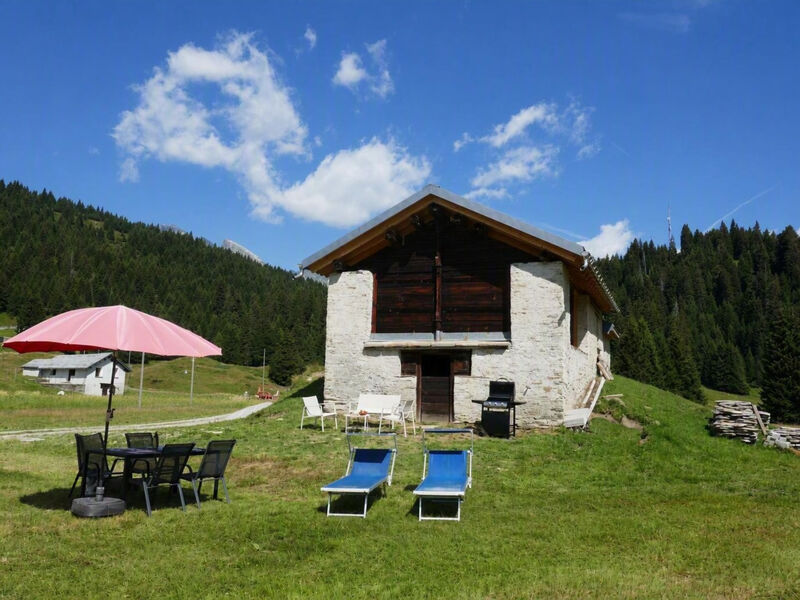 Nido delle Alpi