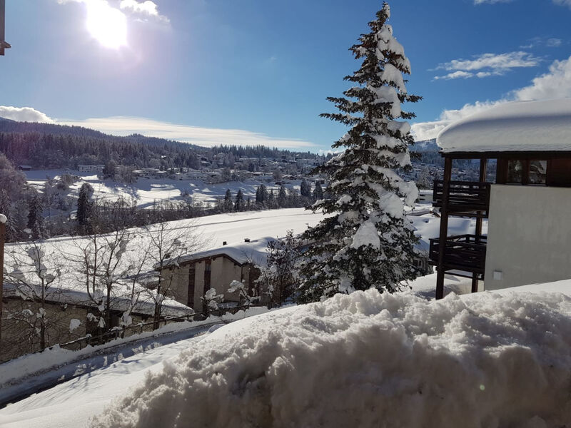 Panorama A23 / Fitzi, (Flims Dorf), 2602