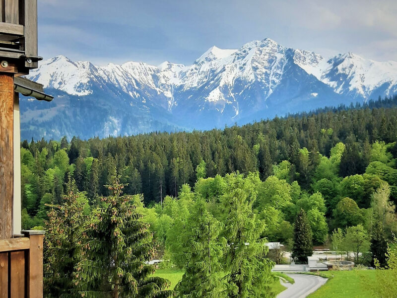 Panorama A23 / Fitzi, (Flims Dorf), 2602