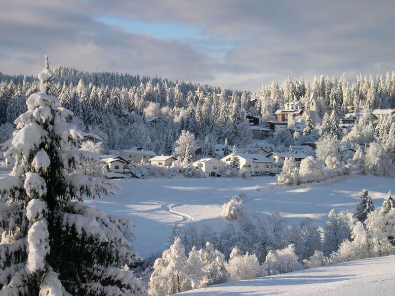 Panorama A23 / Fitzi, (Flims Dorf), 2602