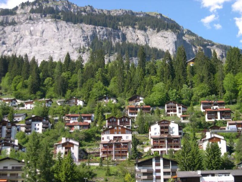 Panorama A23 / Fitzi, (Flims Dorf), 2602