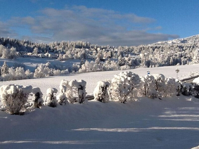 Casa Marcau, (Flims),