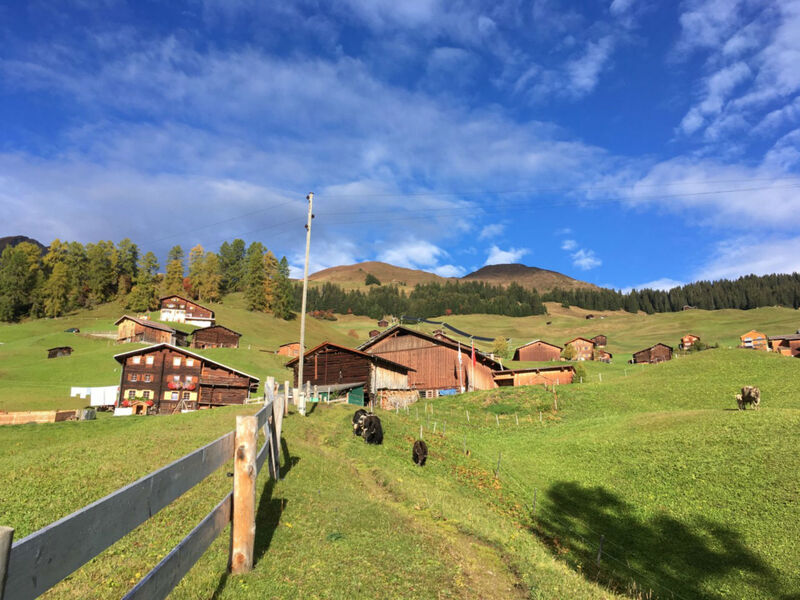 Hof Unterhus, Tenna, (Tenna), 06006B