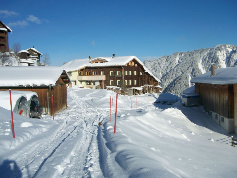 BioHof Casutt, Tenna, (Tenna), 06002B
