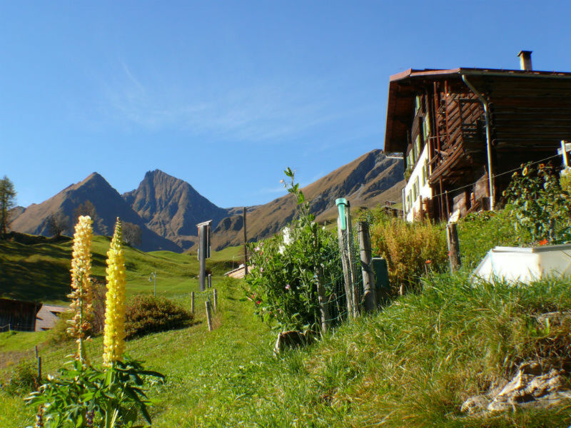 BioHof Casutt, Tenna, (Tenna), 06002B