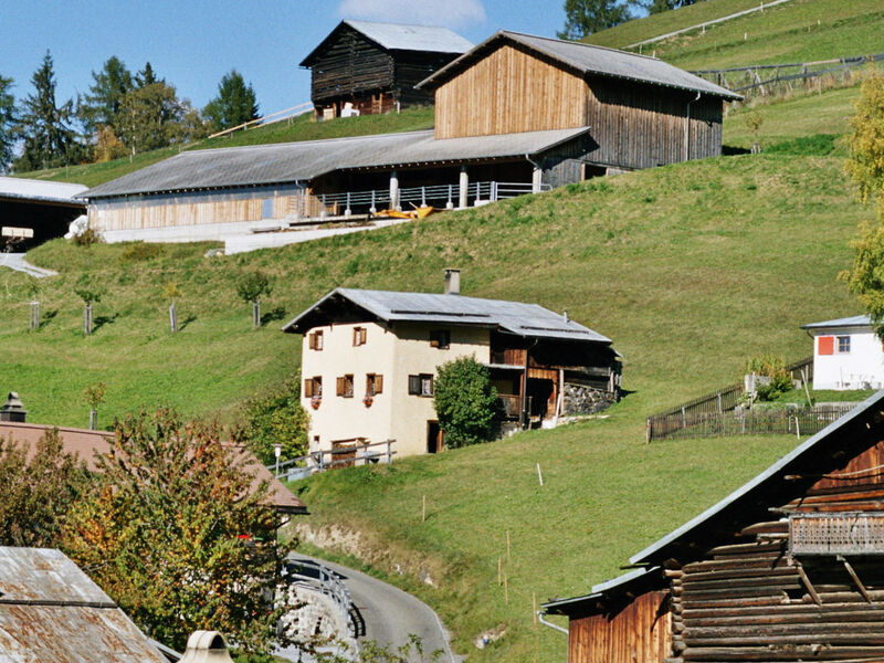 Ferienhaus Altes Walserhaus, Brün, (Valendas-Brün), 22004B