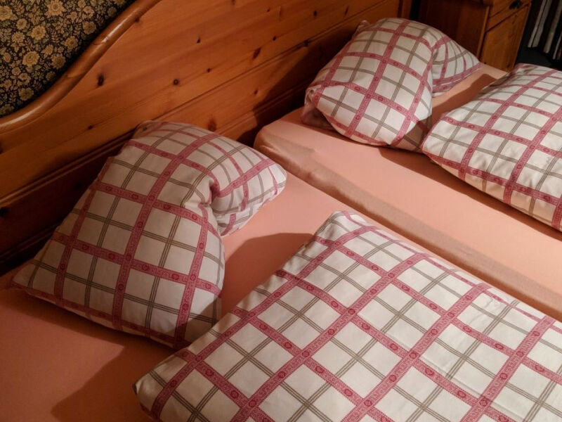 Disentiserhof Haus C 102, (Disentis/Mustér), 1038