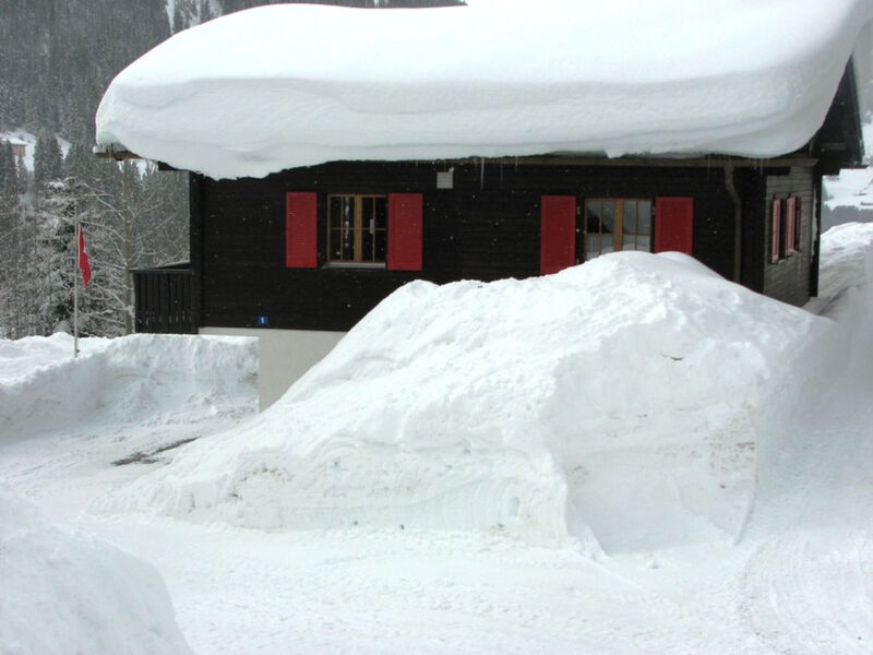 Ferienhaus Kuster, (Sedrun), 006.01