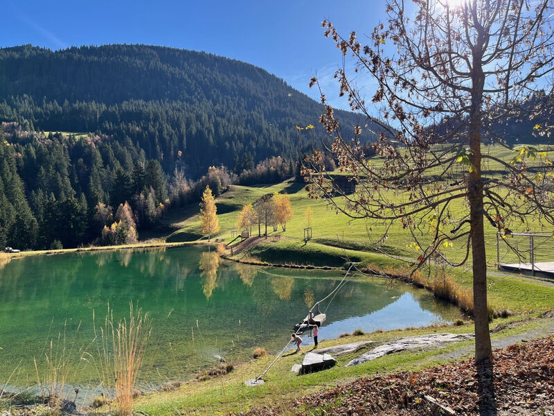 Casa Tresch Sedrun, (Tavetsch),