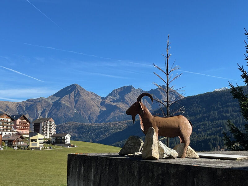 Casa Tresch Sedrun, (Tavetsch),