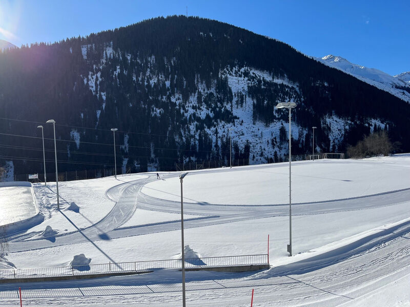 Casa Tresch Sedrun, (Tavetsch),