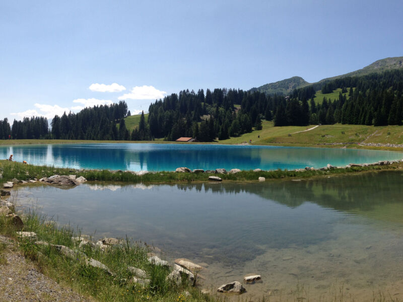 Dům Maran, (Oberurmein),