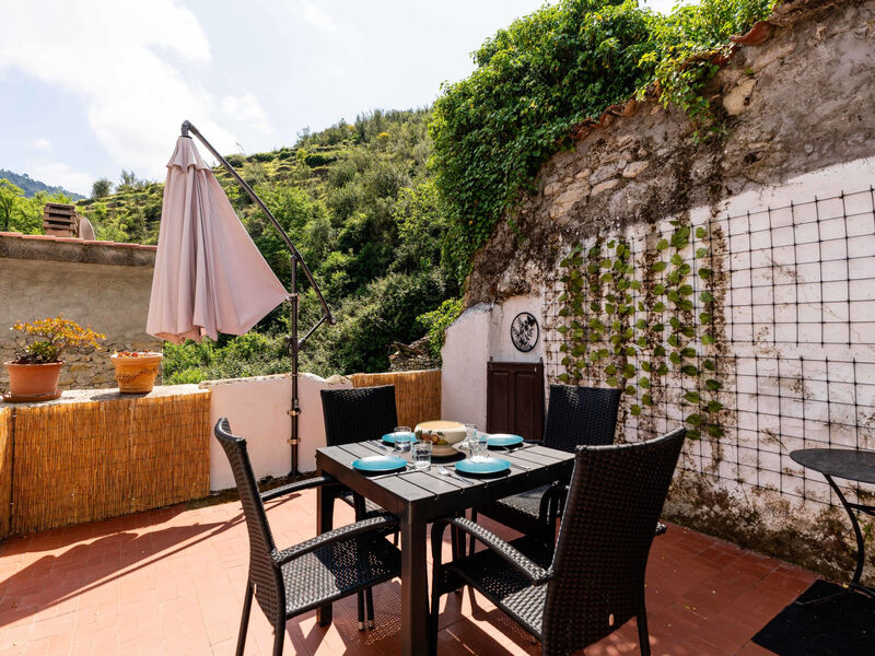 Torri House