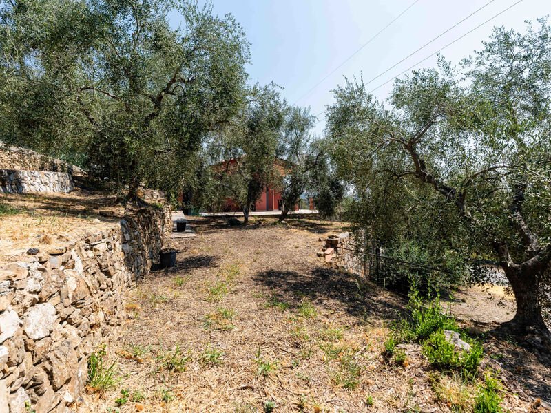 Orto di Silvia