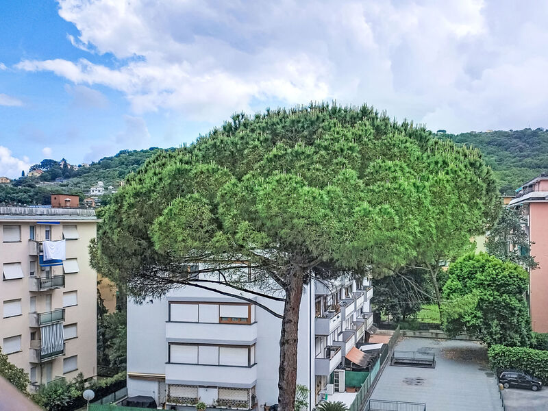 Riviera Mini House