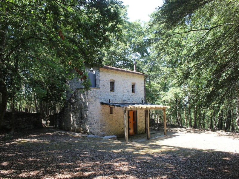 Kirschbäume, eine Oase im Wald zwischen Meer und Natur