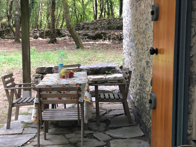 Kirschbäume, eine Oase im Wald zwischen Meer und Natur