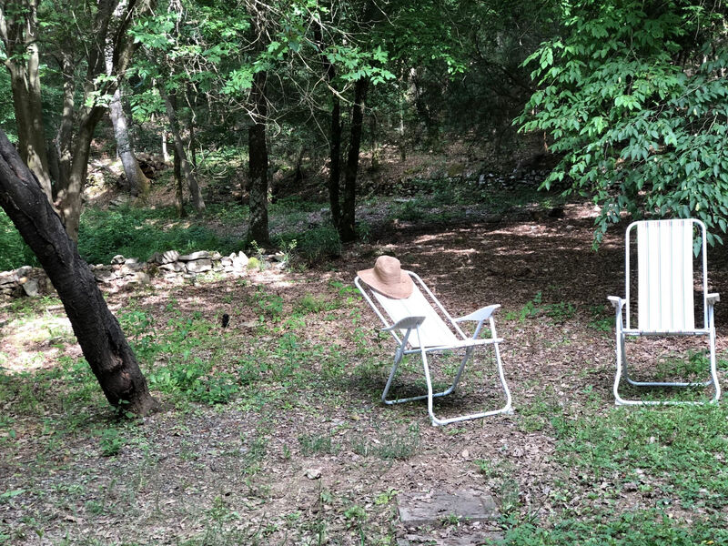 Kirschbäume, eine Oase im Wald zwischen Meer und Natur