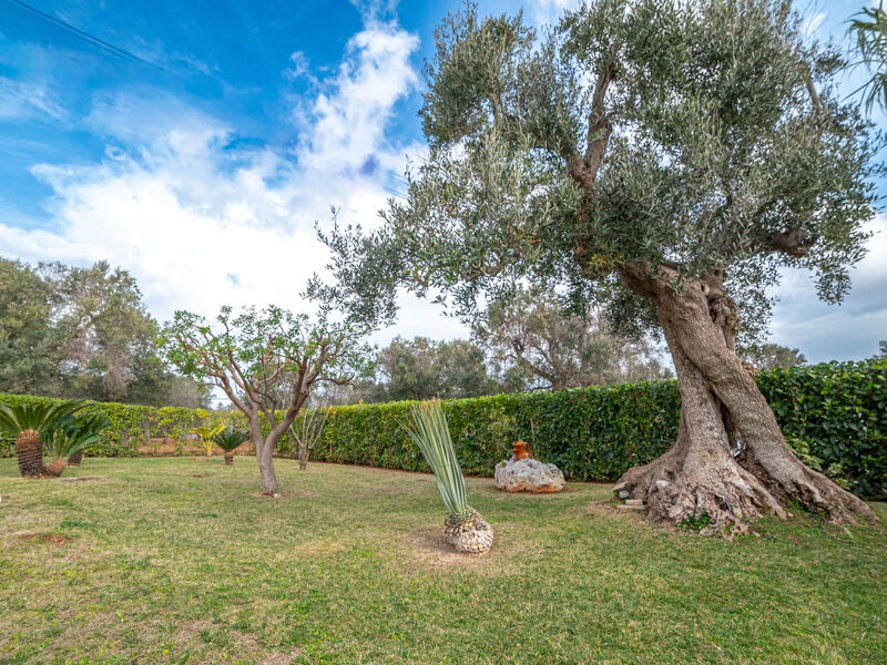 Paolos Trullo im Herzen der Landschaft