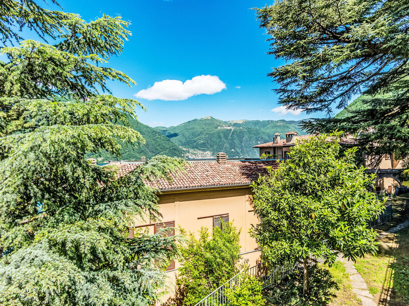 Casa Ambra