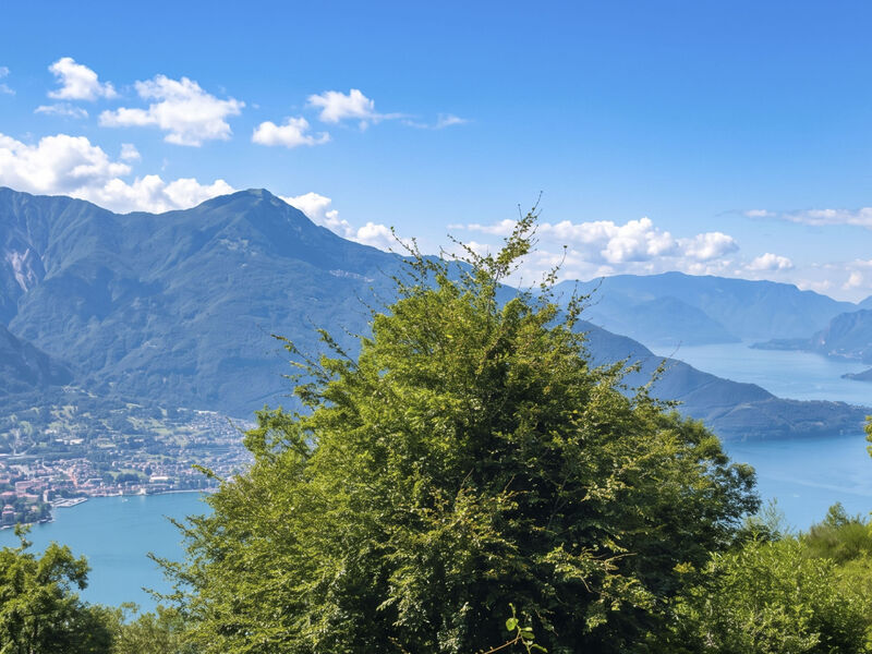 Il Cervo
