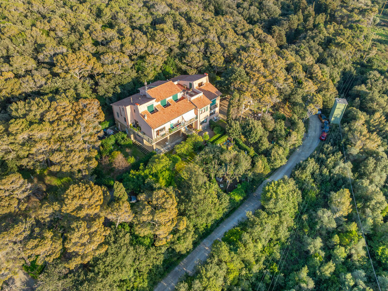 La casetta immersa nel verde