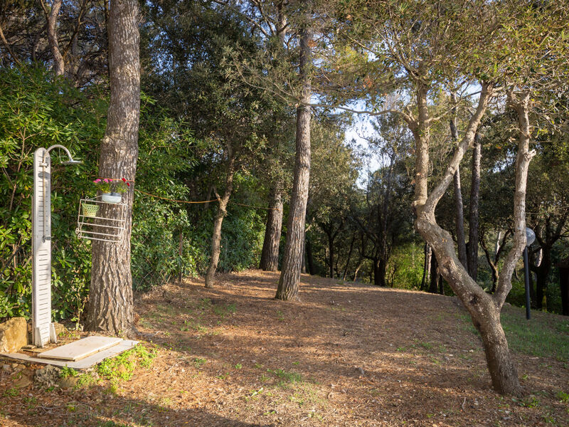 La casetta immersa nel verde