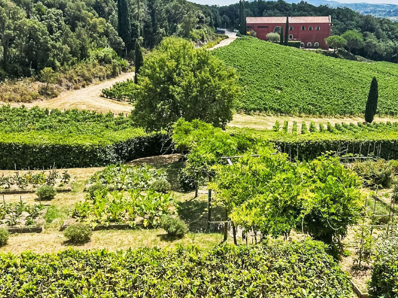 Caiarossa Tuscan Retrait