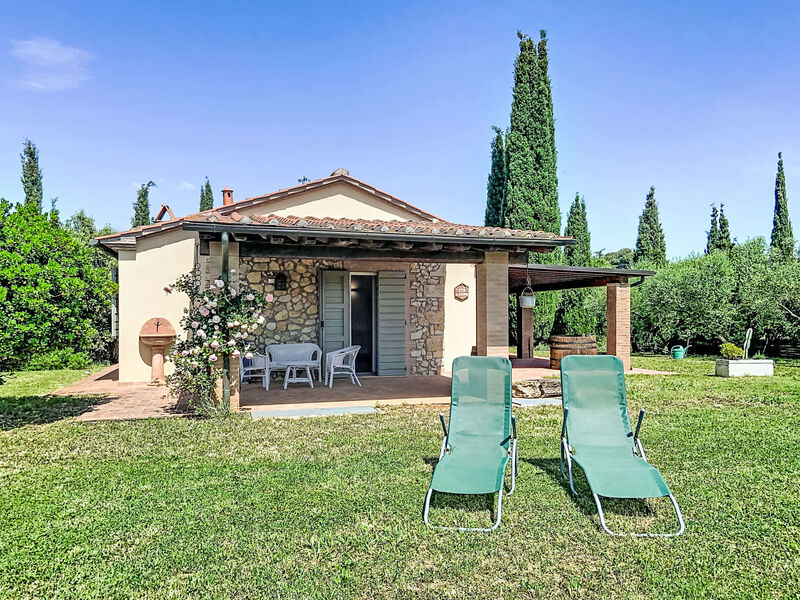 La Mimosa