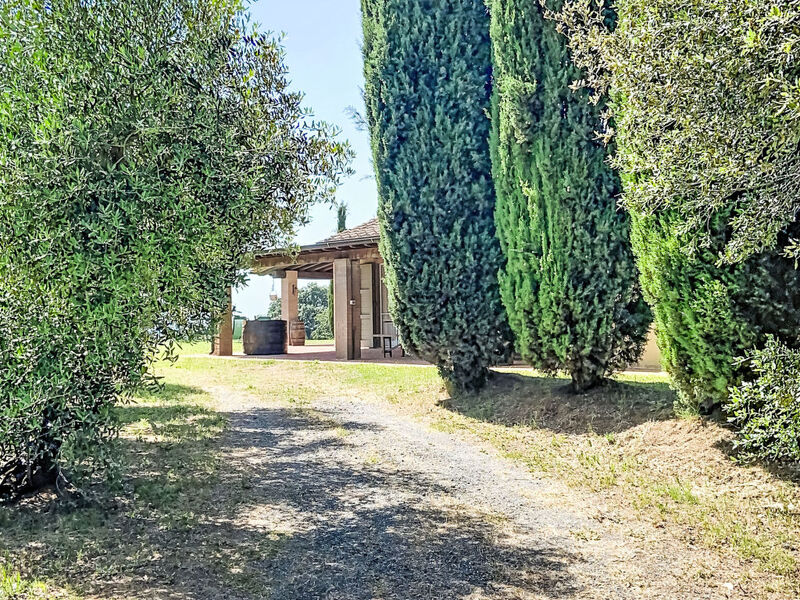 La Mimosa