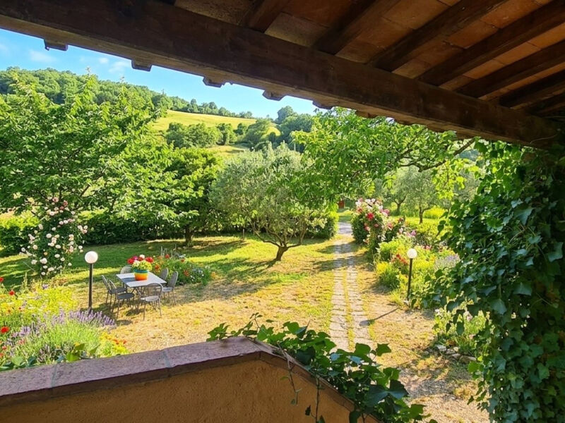 Edera