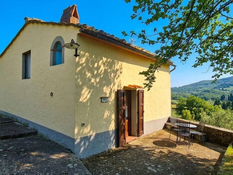 Olivo