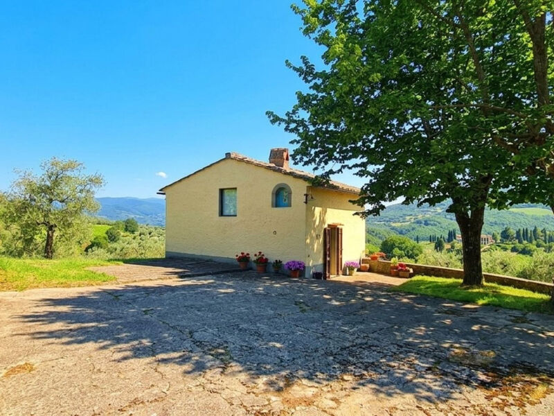Olivo