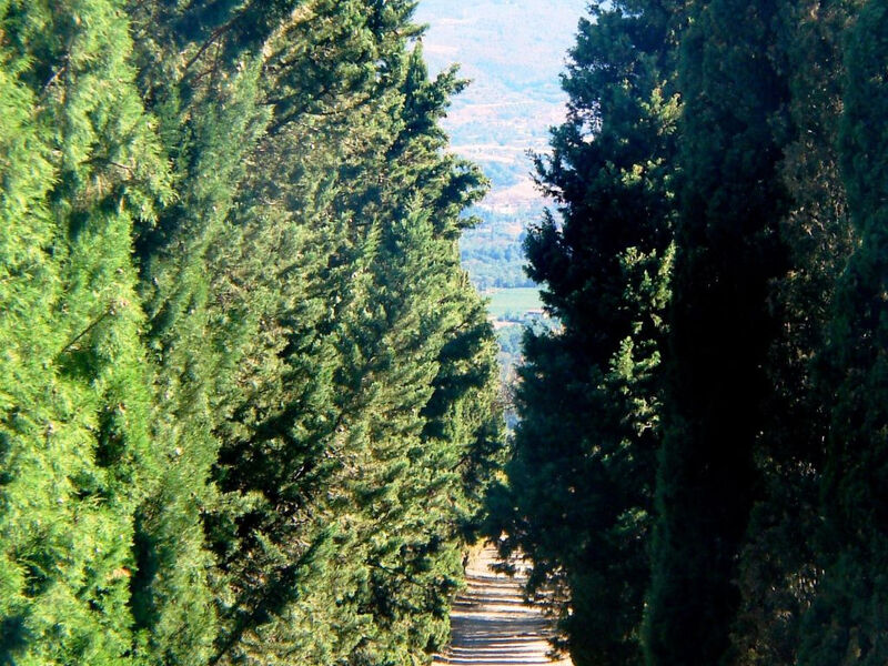 La Capanna