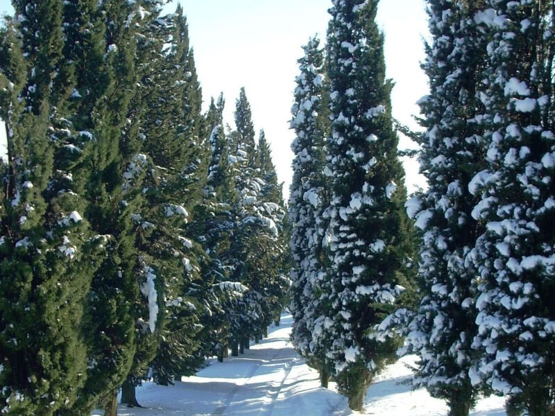 La Capanna