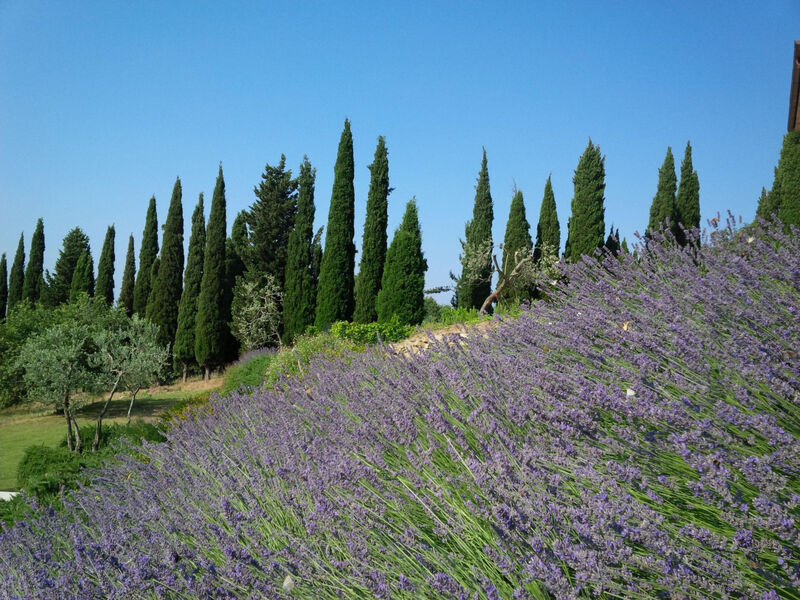 La Capanna
