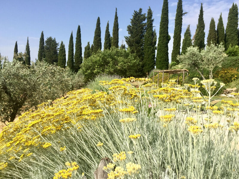 La Capanna
