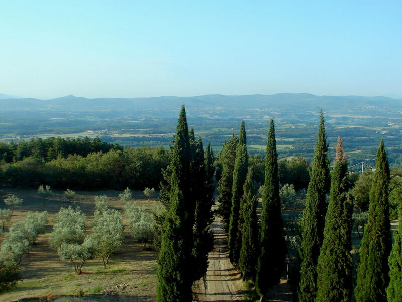 La Capanna