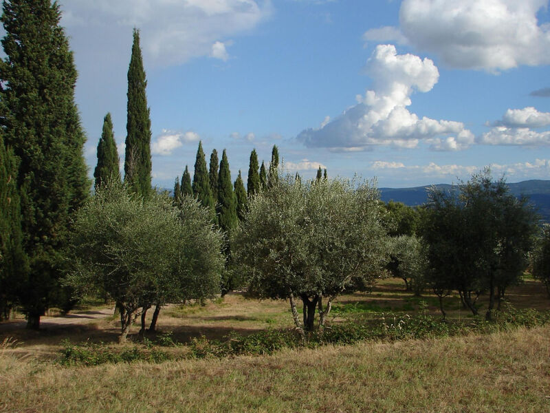 La Capanna