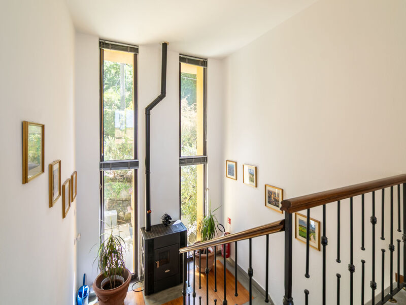 Vila Elisa