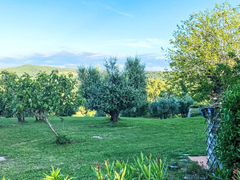 Fiore di Mandorlo