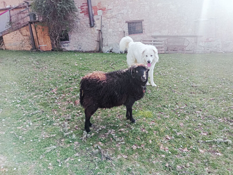 La Capanna